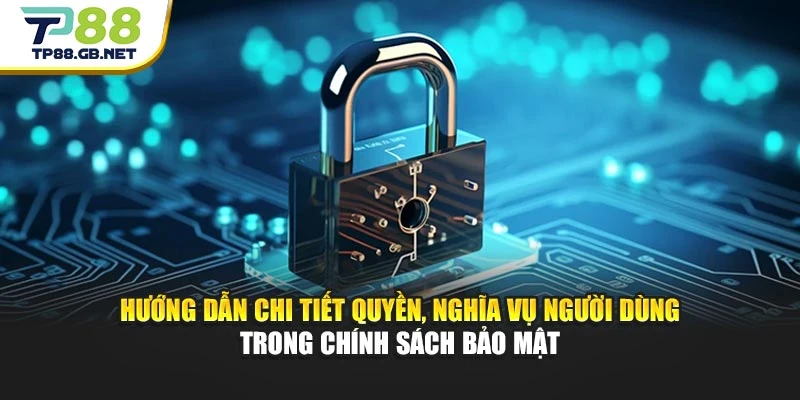 Hướng dẫn chi tiết quyền, nghĩa vụ người dùng trong chính sách bảo mật